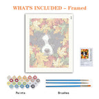 Autumn Explorer - Paint by Numbers Kit