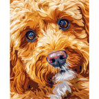 Caramel Curls - Paint by Numbers Kit