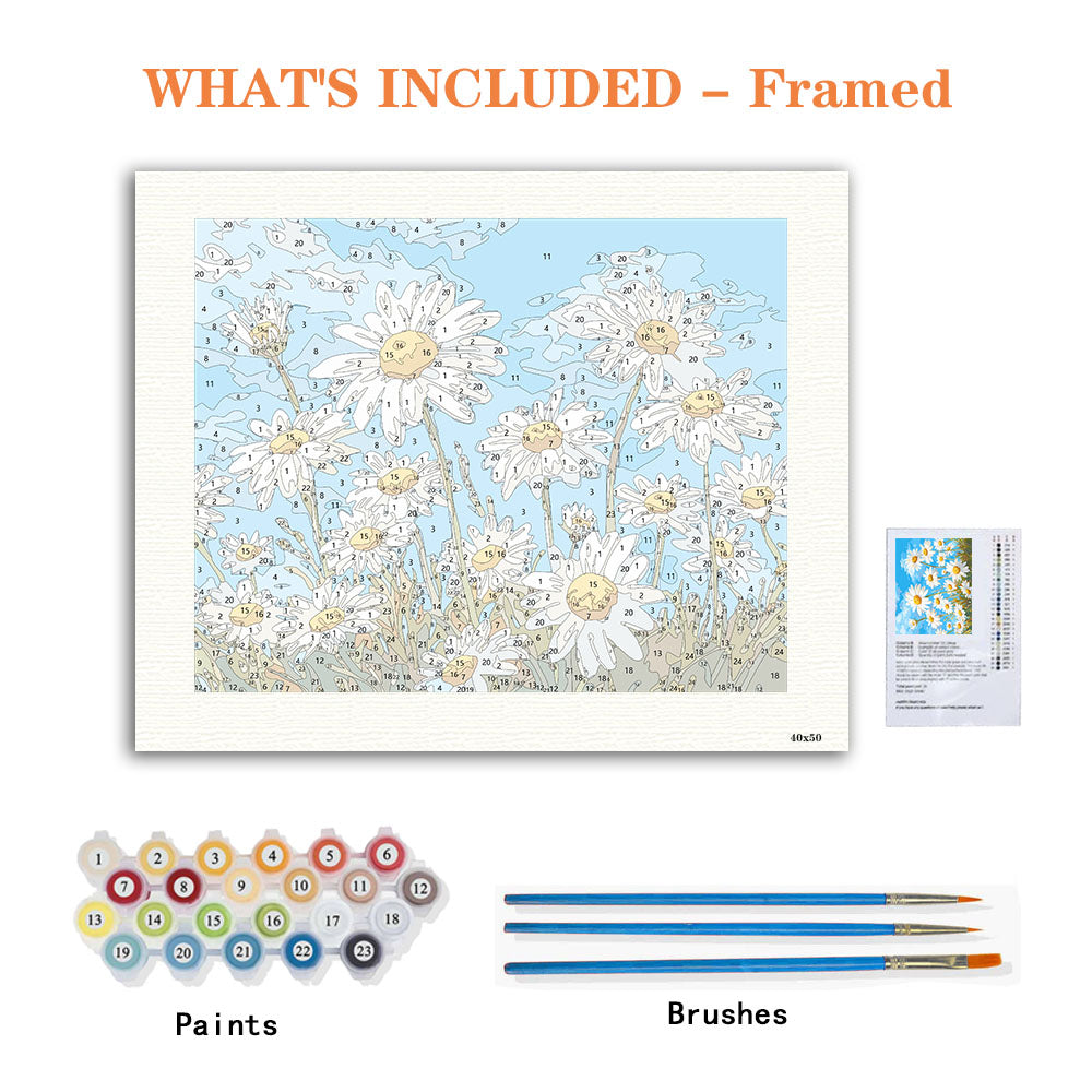 Field of Sunshine - Paint by Numbers Kit