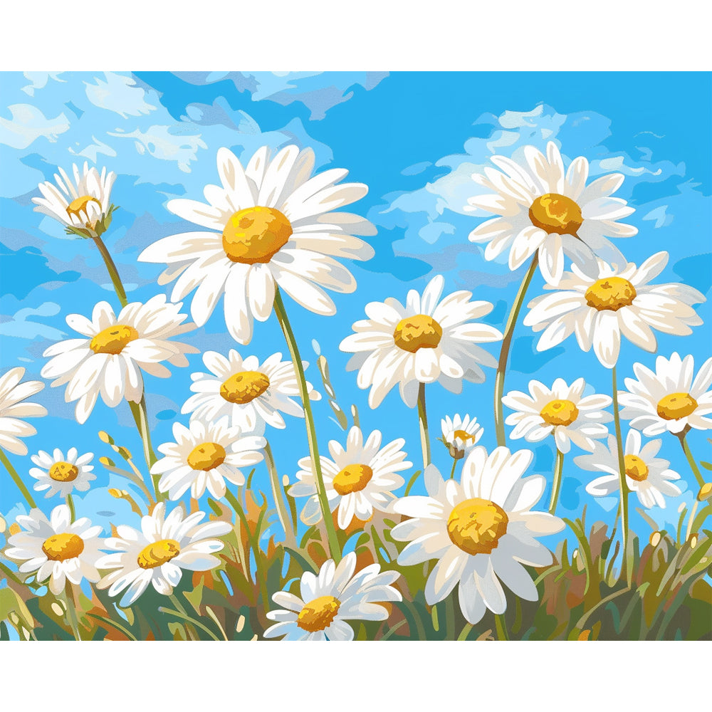 Field of Sunshine - Paint by Numbers Kit