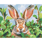 Garden Peekaboo - Paint by Numbers Kit