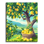 Golden Citrus Harvest