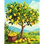 Golden Harvest Lemon Tree