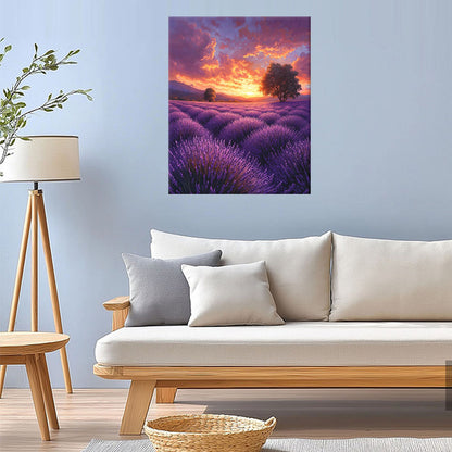 Lavender Fields - Paint by Numbers