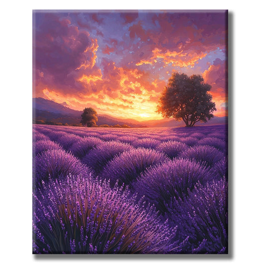 Lavender Fields - Paint by Numbers