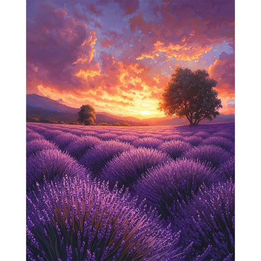 Lavender Fields - Paint by Numbers