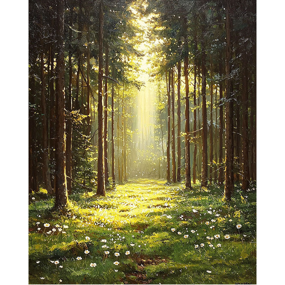 Magic of the Morning Light - Paint by Numbers