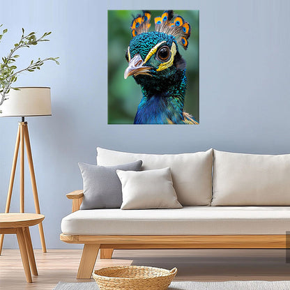 Peacock Beauty - Paint by Numbers