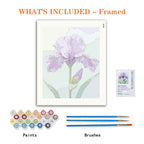Purple Iris Serenade