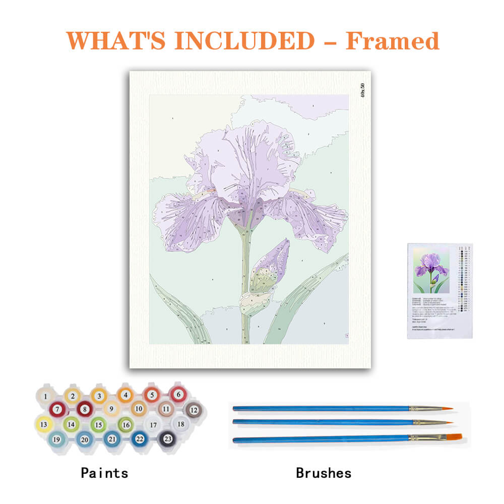 Purple Iris Serenade