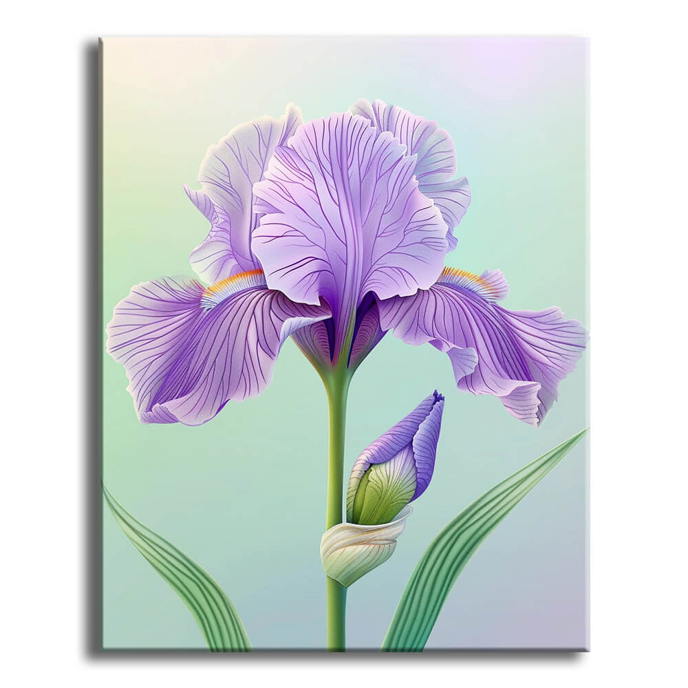 Purple Iris Serenade