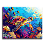 Rainbow Reef Explorer