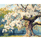 Spring's First Bloom - Paint by Numbers Kit