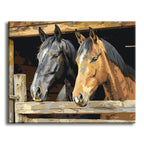 Stable Companions - Paint by Numbers Kit