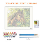 Sunlit Stallion - Paint by Numbers Kit