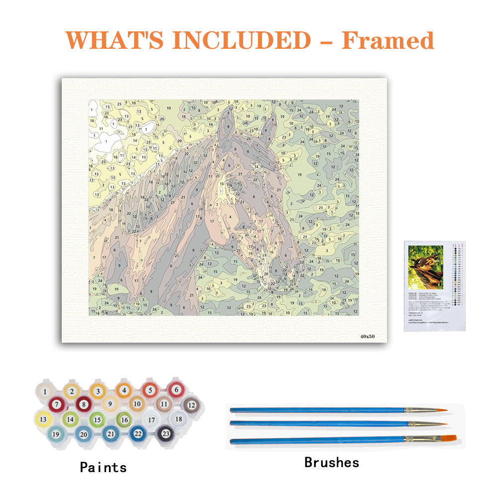 Sunlit Stallion - Paint by Numbers Kit