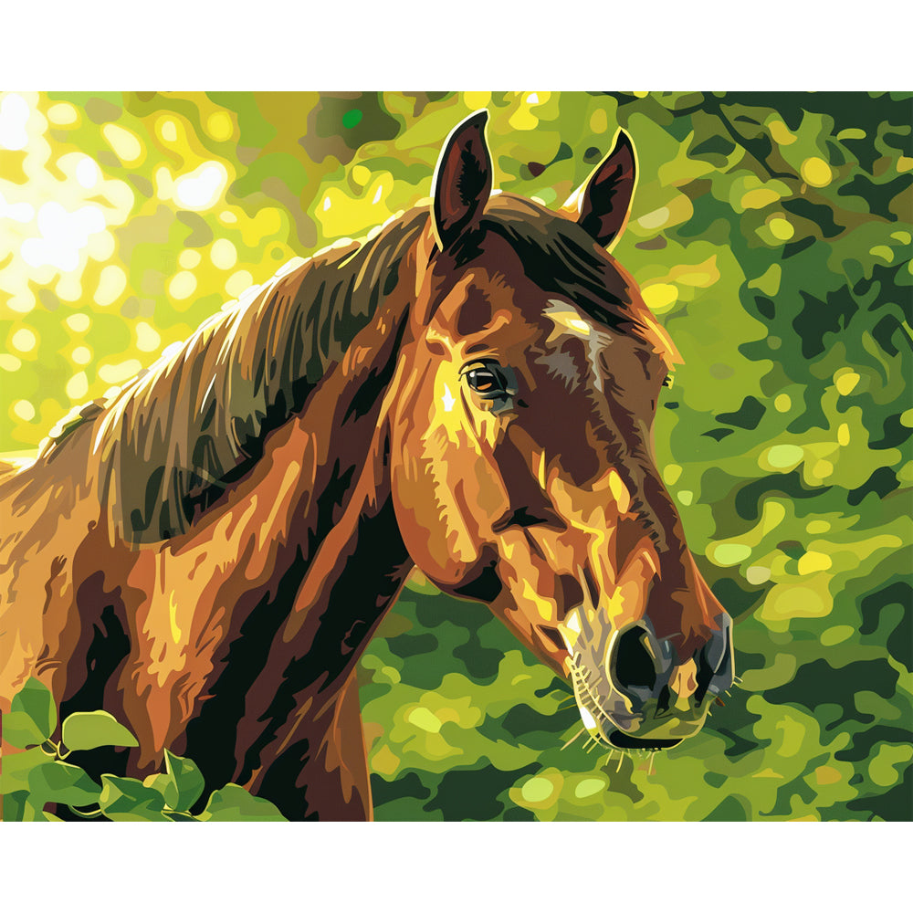 Sunlit Stallion - Paint by Numbers Kit