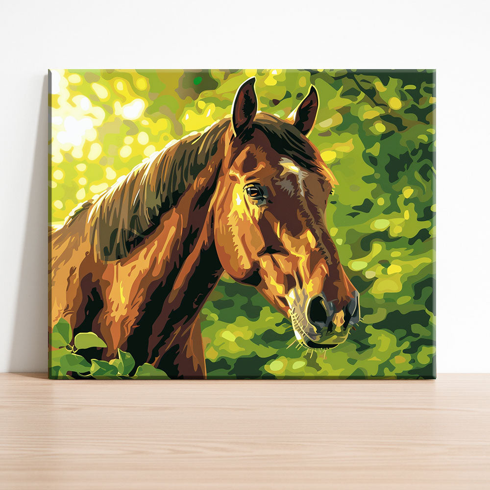 Sunlit Stallion - Paint by Numbers Kit
