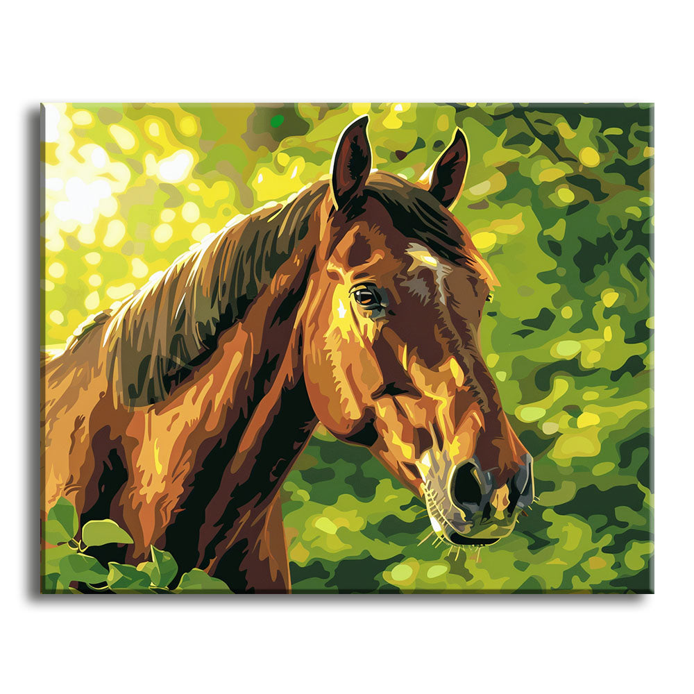 Sunlit Stallion - Paint by Numbers Kit