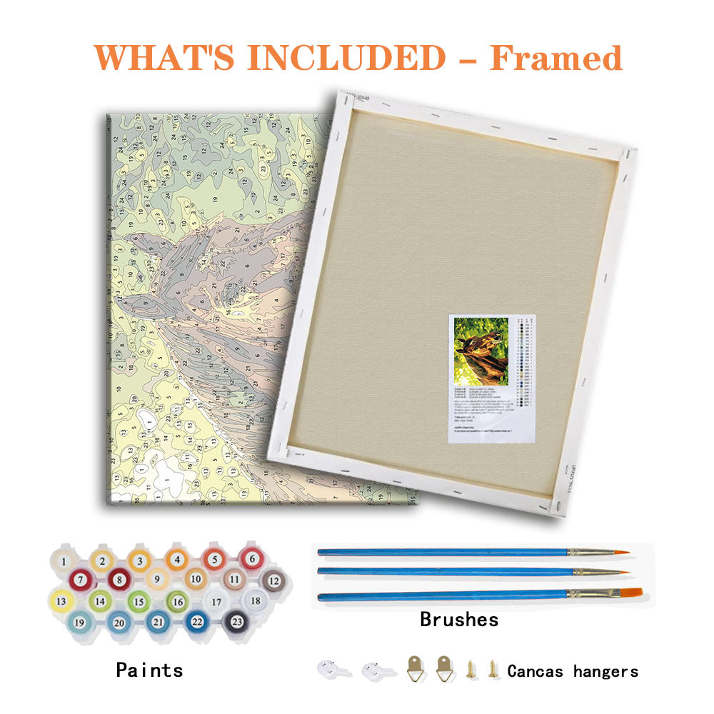 Sunlit Stallion - Paint by Numbers Kit