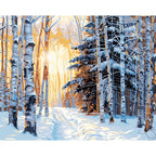 Winter's Golden Hour - Paint by Numbers Kit